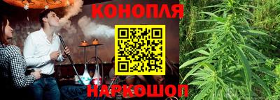СК Нягань