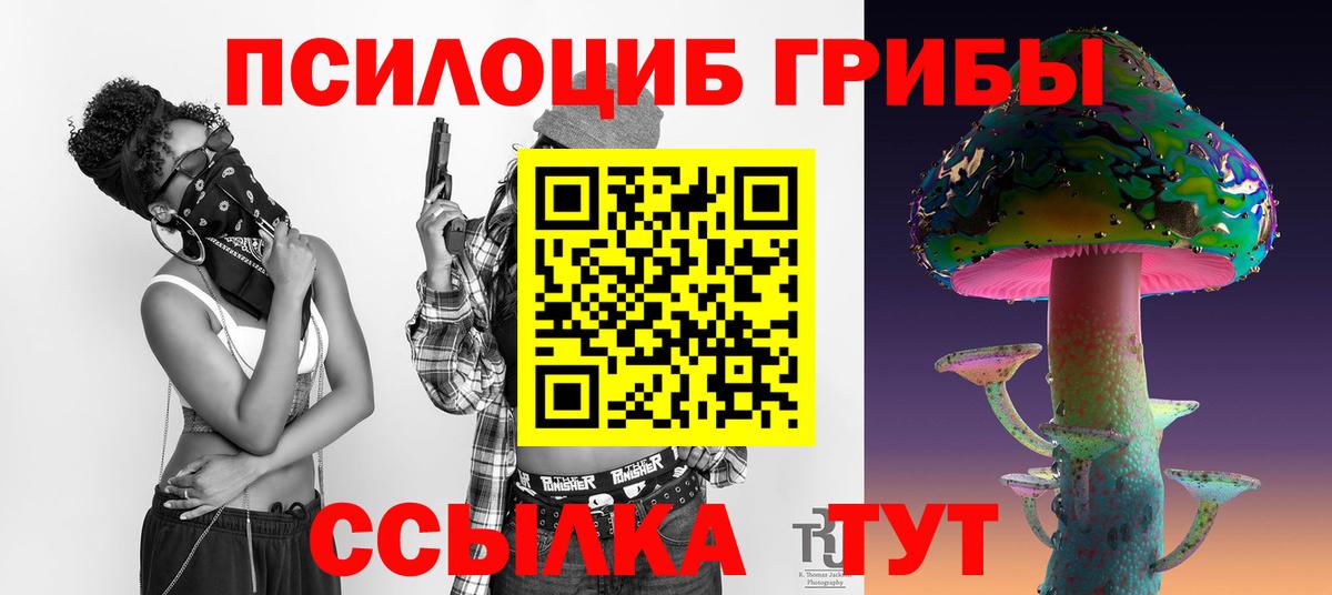 Псилоцибиновые грибы Psilocybe Туймазы