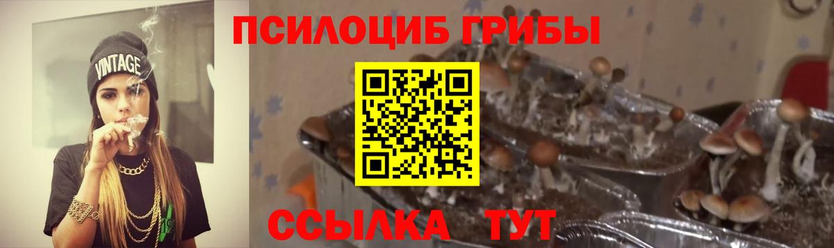 Галлюциногенные грибы Magic Shrooms  Вход с VPN  Туймазы 